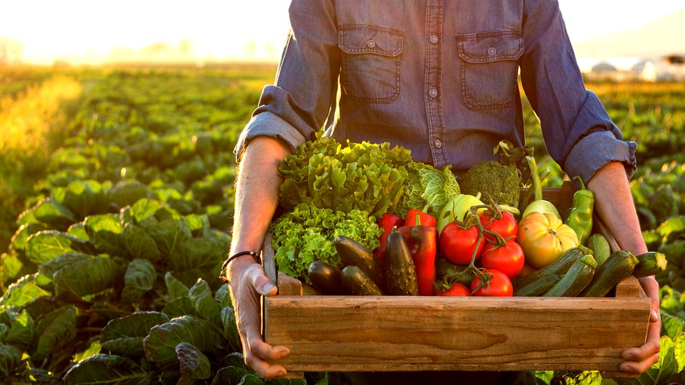A qué nos referimos con ingredientes orgánicos