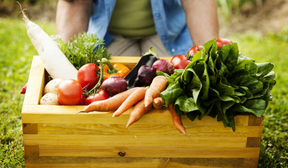 Qué beneficios ofrecen los ingredientes orgánicos